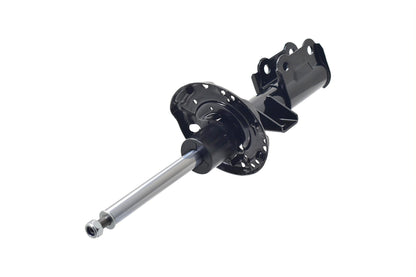 FCS Struts 334473L