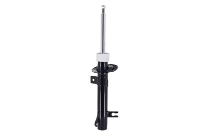 FCS Struts 335434