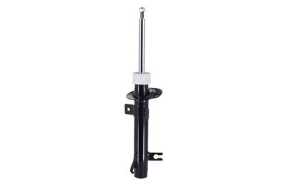 FCS Struts 335434