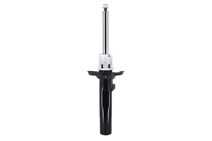 FCS Struts 335970