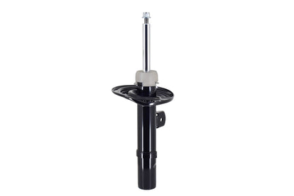 FCS Struts 337178L