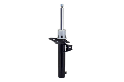 FCS Struts 337231