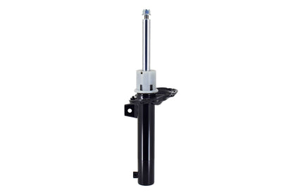 FCS Struts 337231