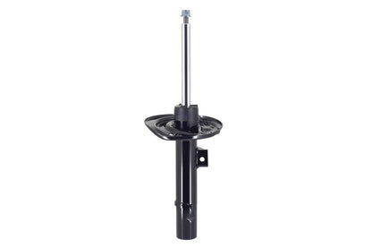 FCS Struts 337238L