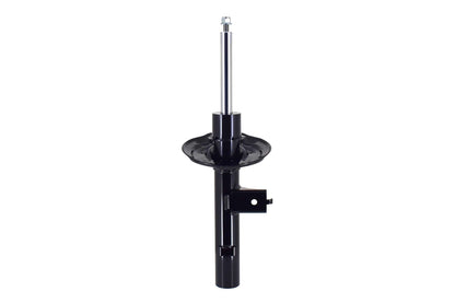 FCS Struts 337289L main image
