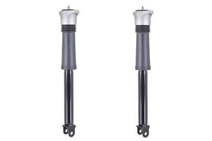 FCS Struts 8341964