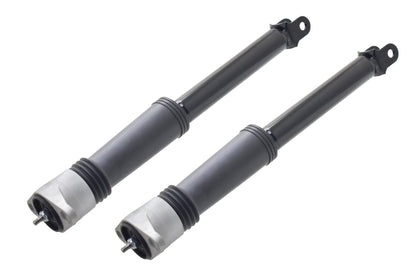FCS Struts 8341964