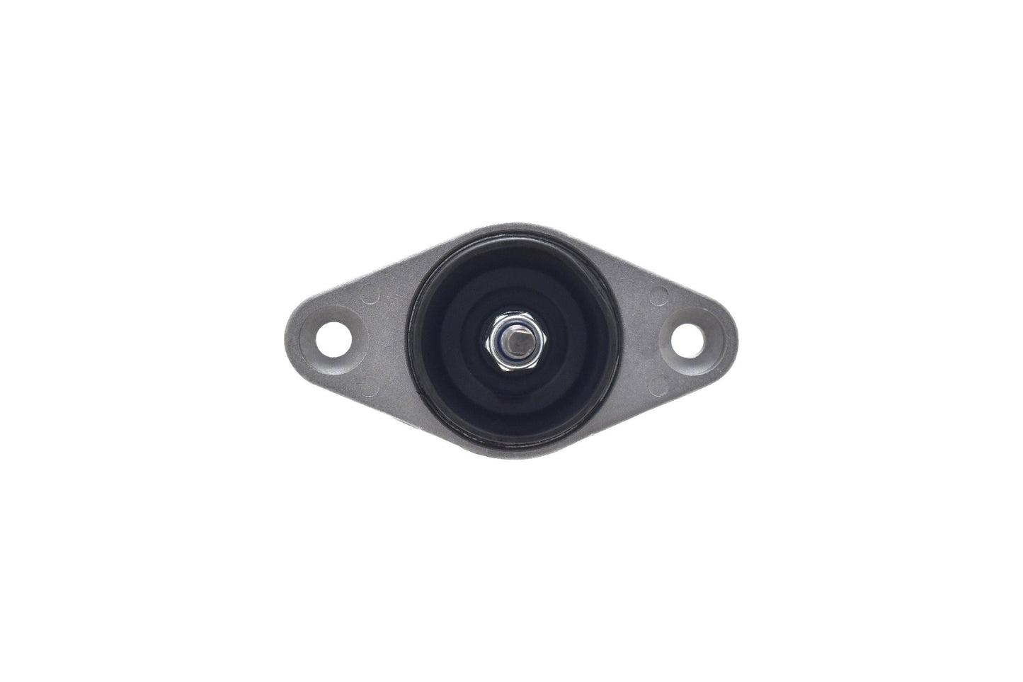 FCS Struts 8341964