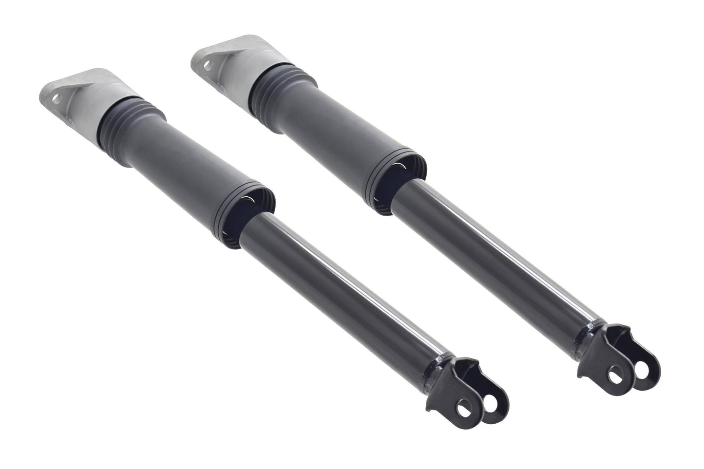 FCS Struts 8341964