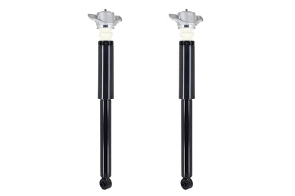 FCS Struts 8346720