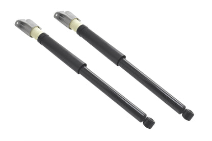 FCS Struts 8346781 image 2