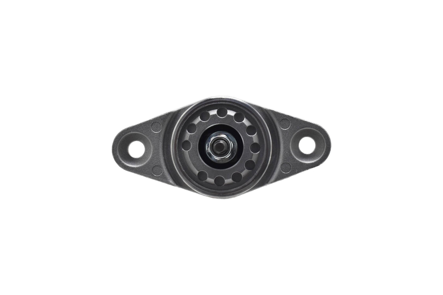 FCS Struts 8346831RL