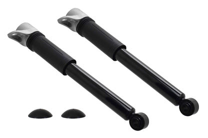 FCS Struts 8346855