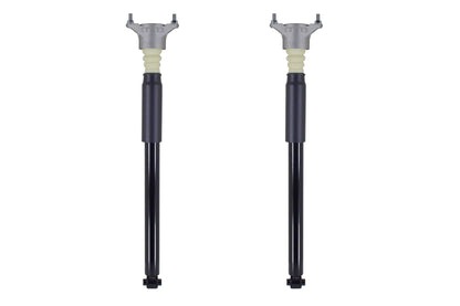FCS Struts Shock Absorber 8346897 main image