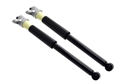 FCS Struts 8346992
