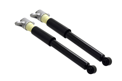 FCS Struts 8346993