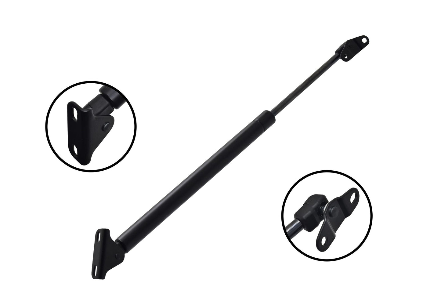 Focus Auto Parts Liftgate Lift Support 84598