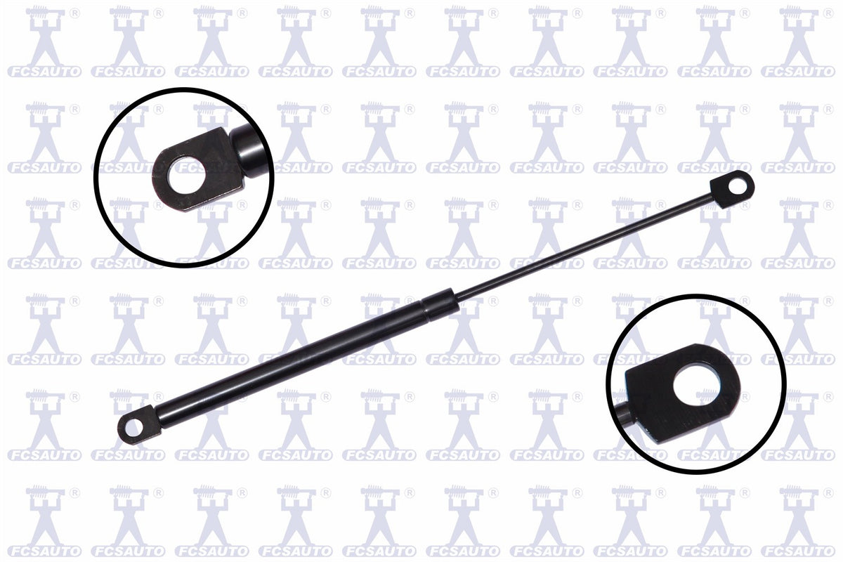 FCS Struts 86923