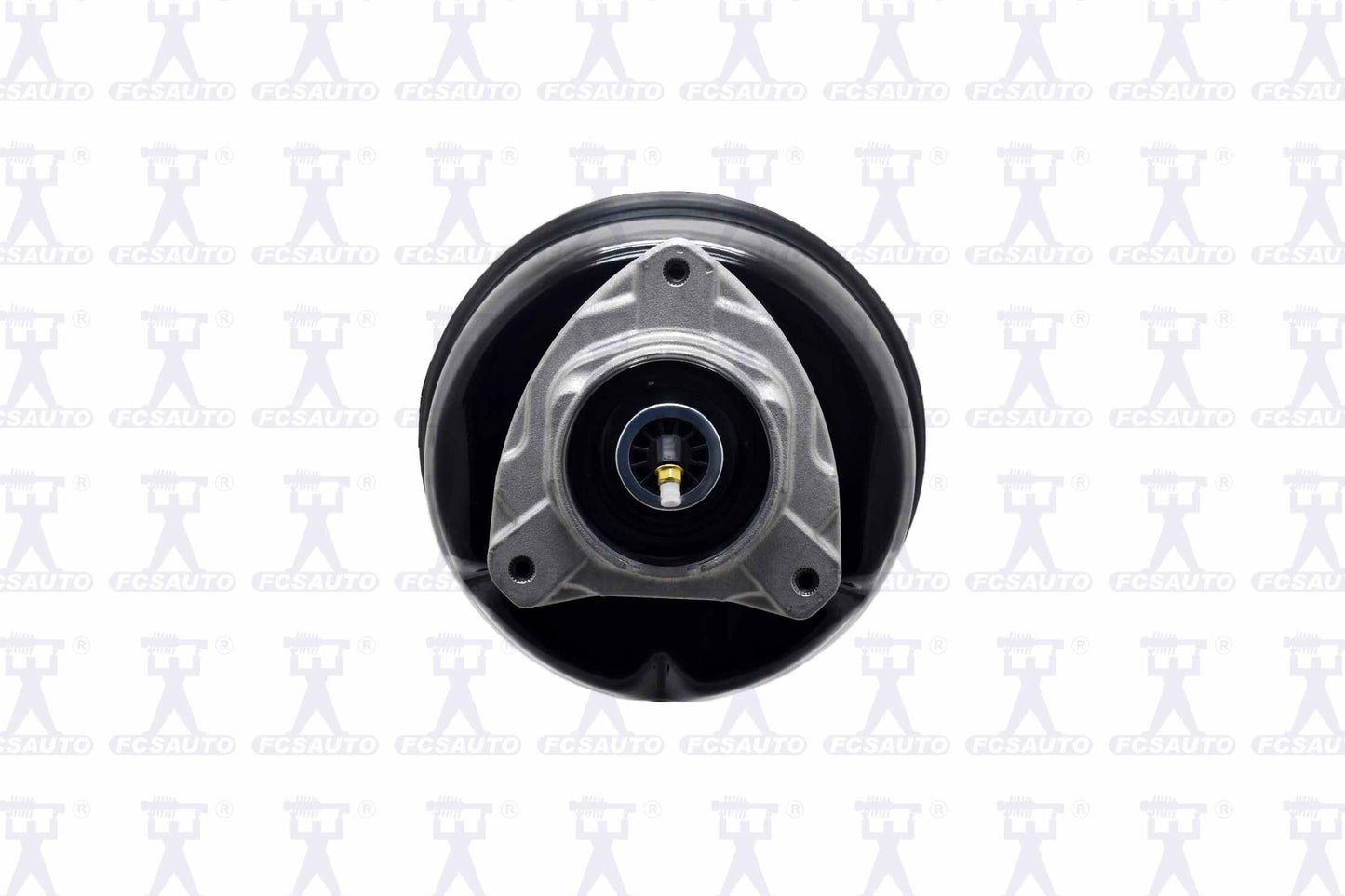 Focus Auto Parts Air Suspension Strut 92015