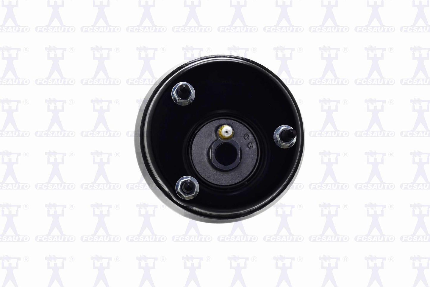 Focus Auto Parts Air Suspension Strut 99061