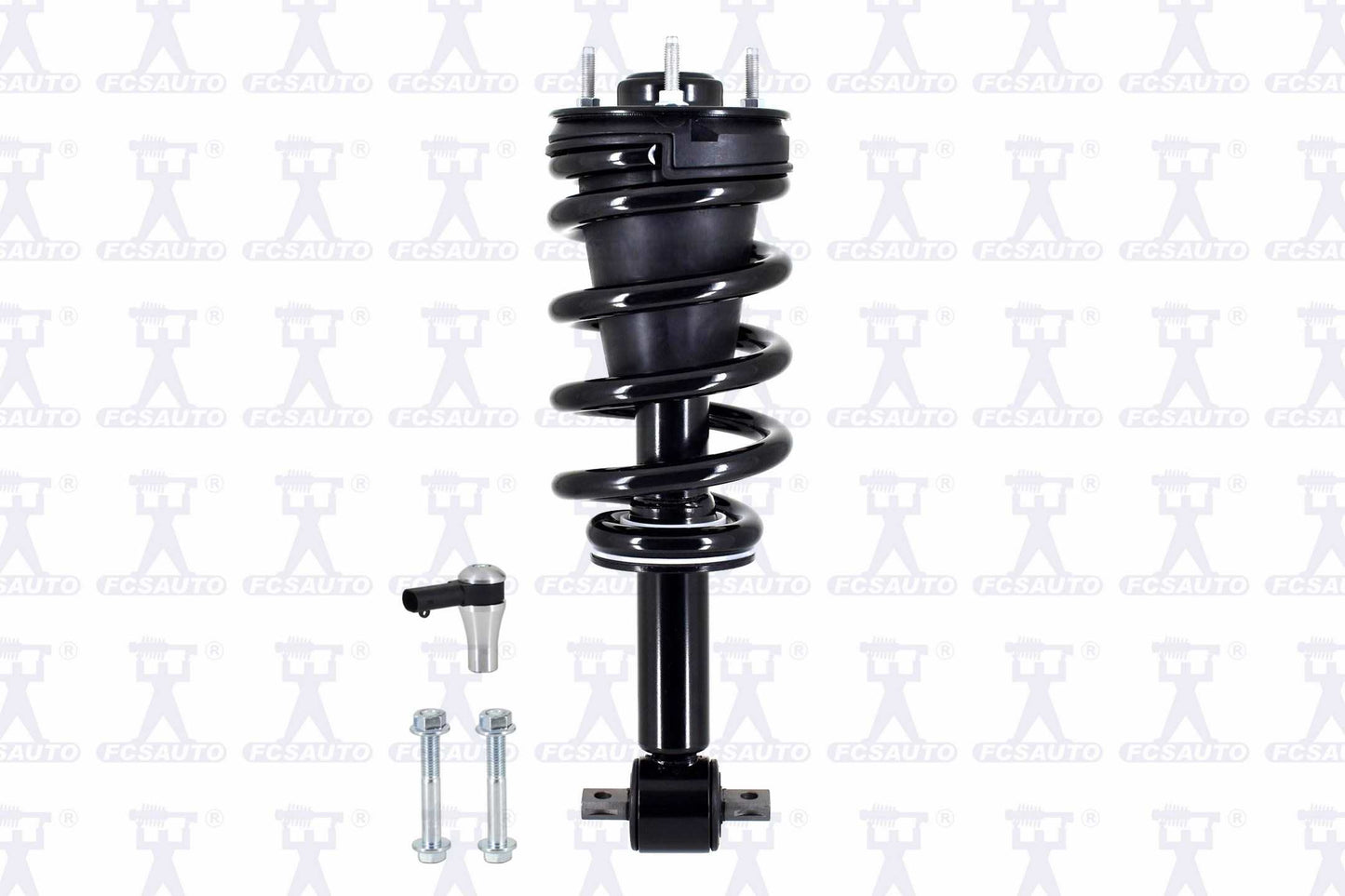 Focus Auto Parts Suspension Strut and Coil Spring Assembly 99085