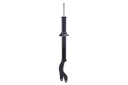 FCS Struts DT355174L
