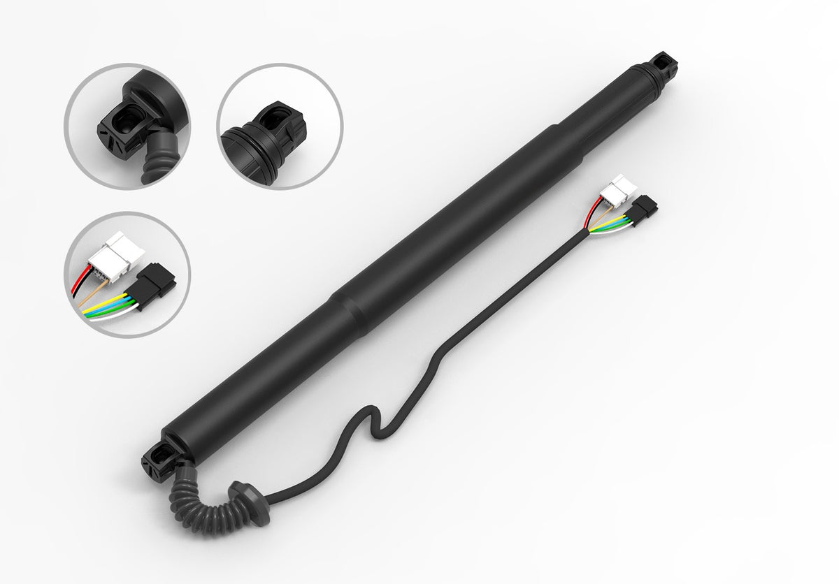 FCS Struts E89002R main image