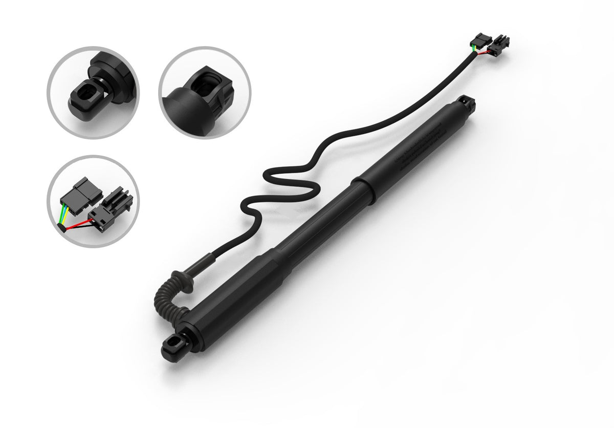 FCS Struts E89013L main image