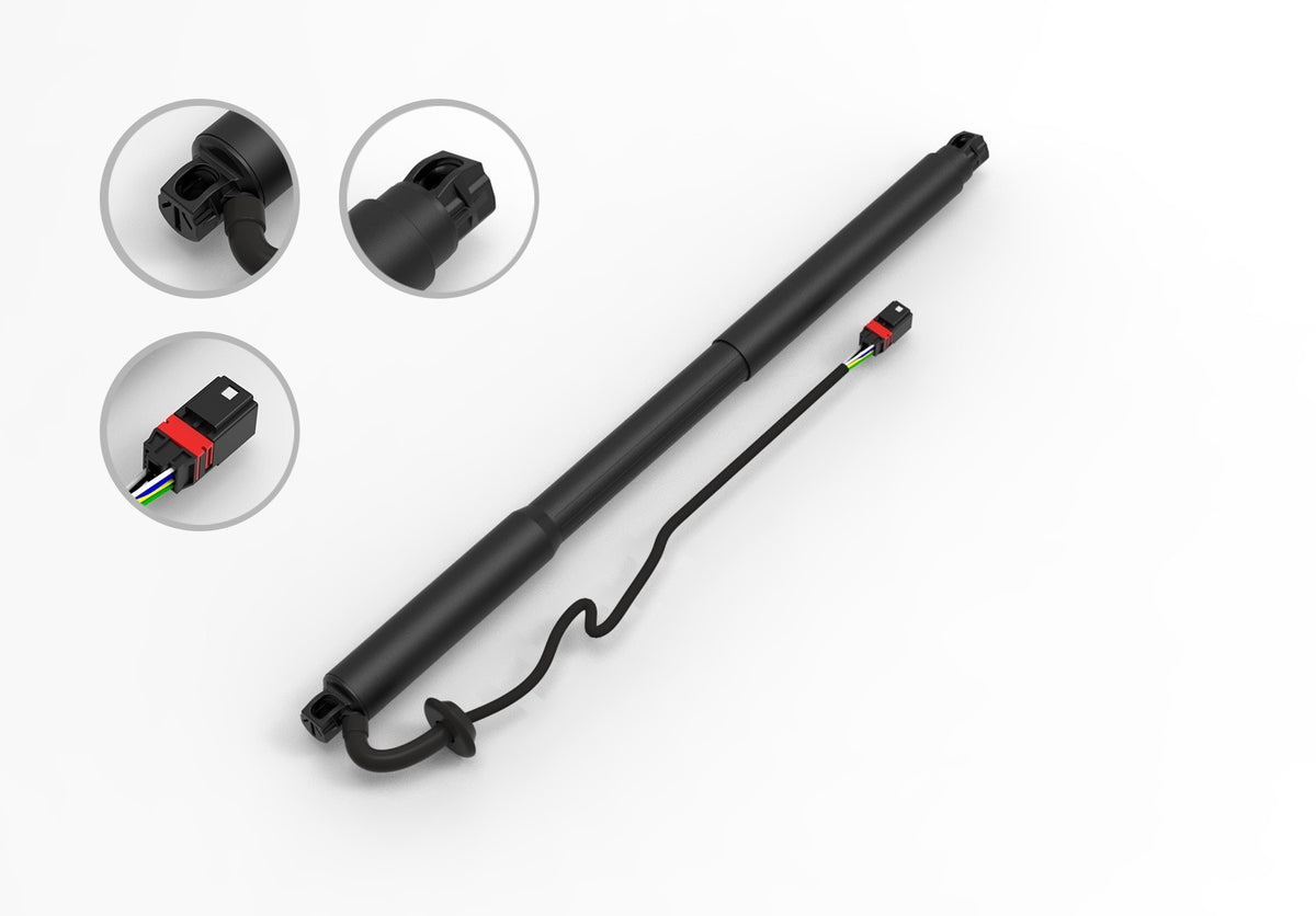 FCS Struts E89020L main image