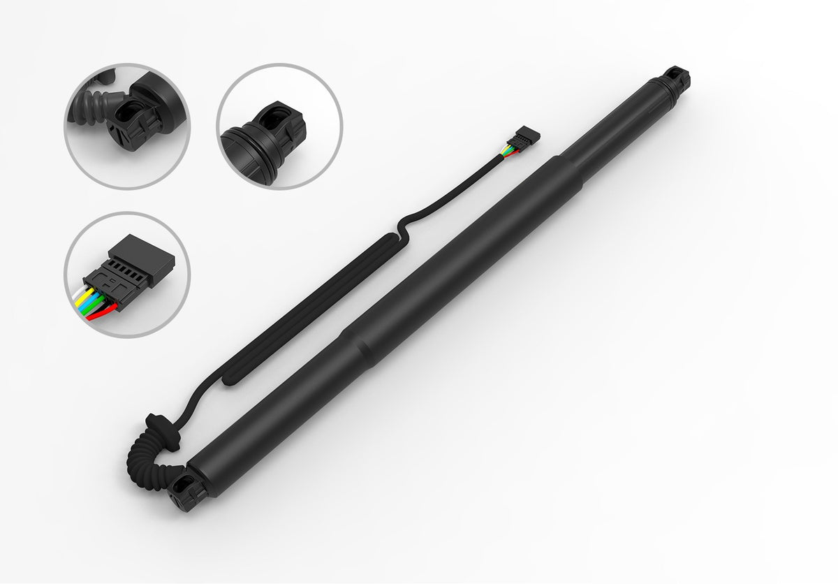 FCS Struts E89037L main image