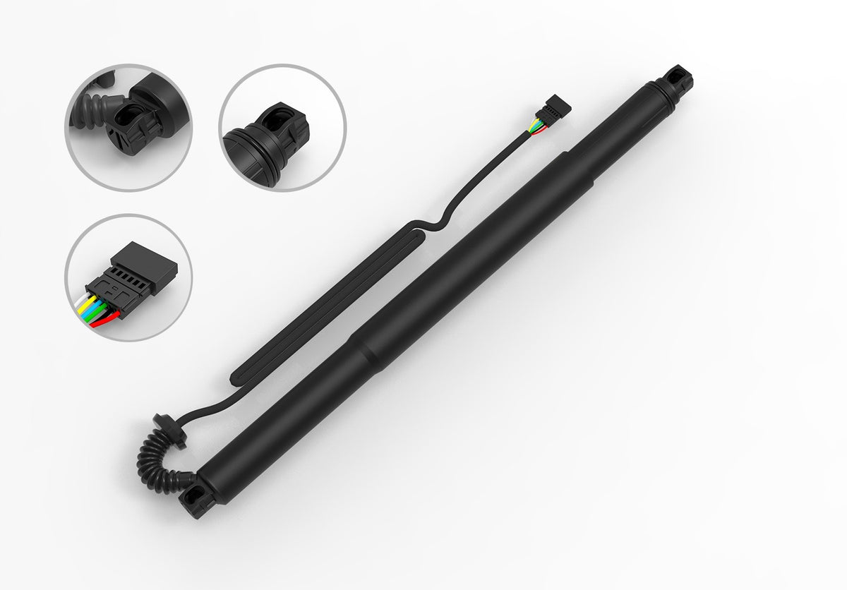 FCS Struts E89038L main image