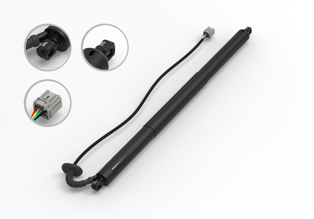 FCS Struts E89043L main image