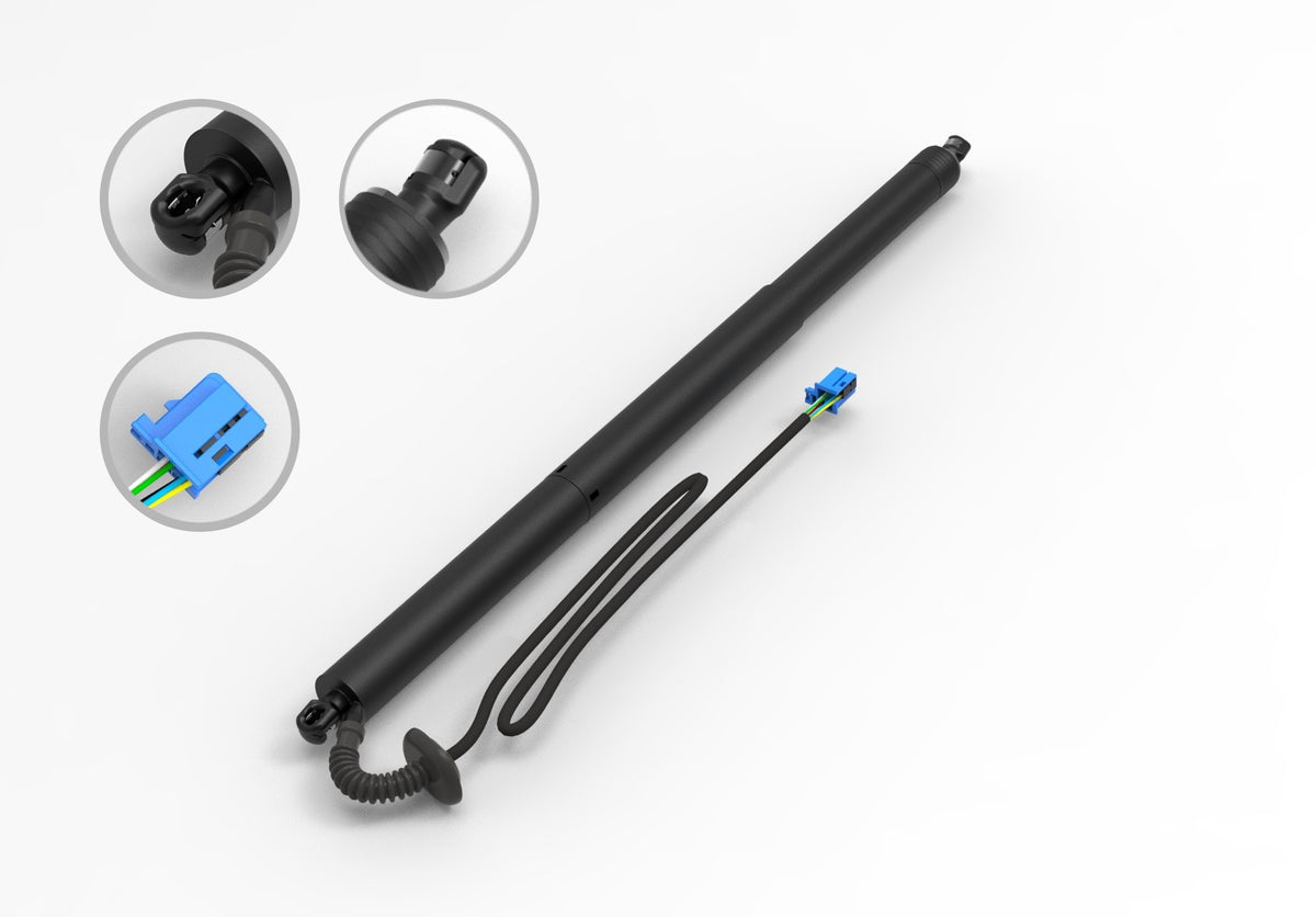 FCS Struts E89051L main image