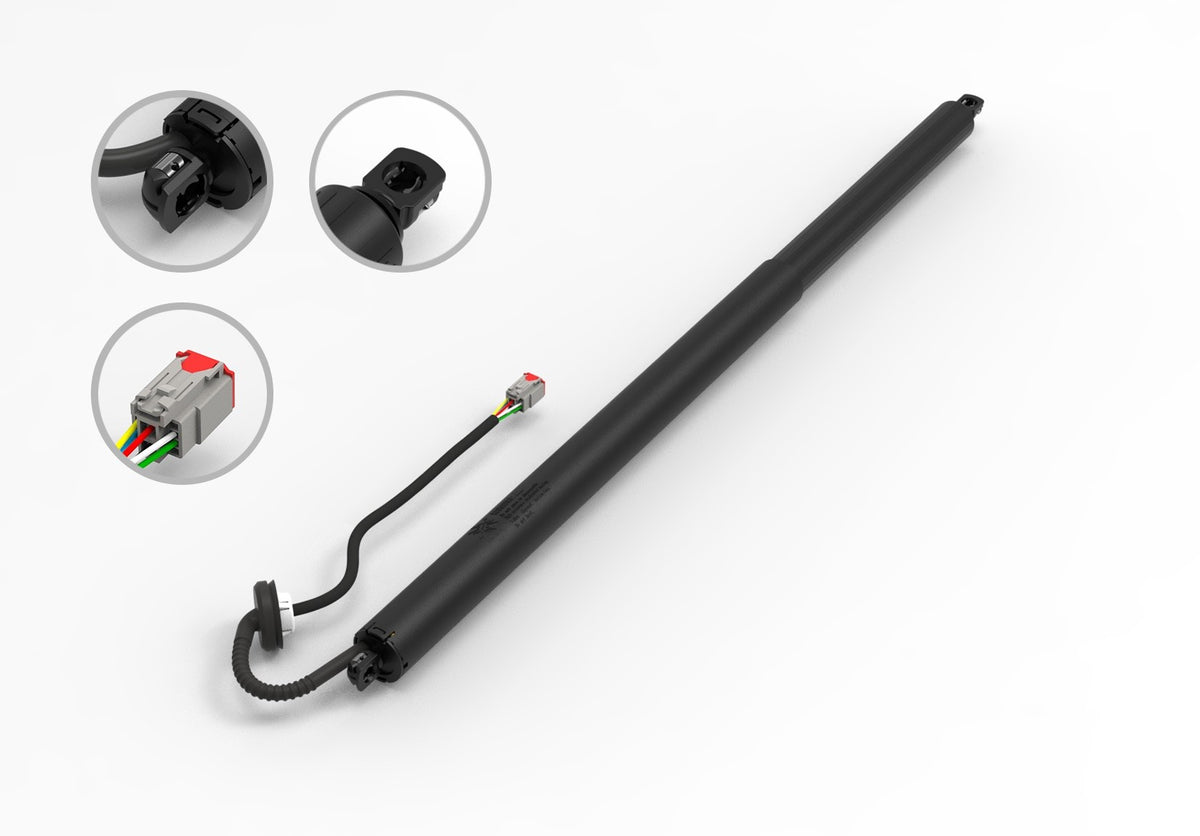 FCS Struts E89068R main image