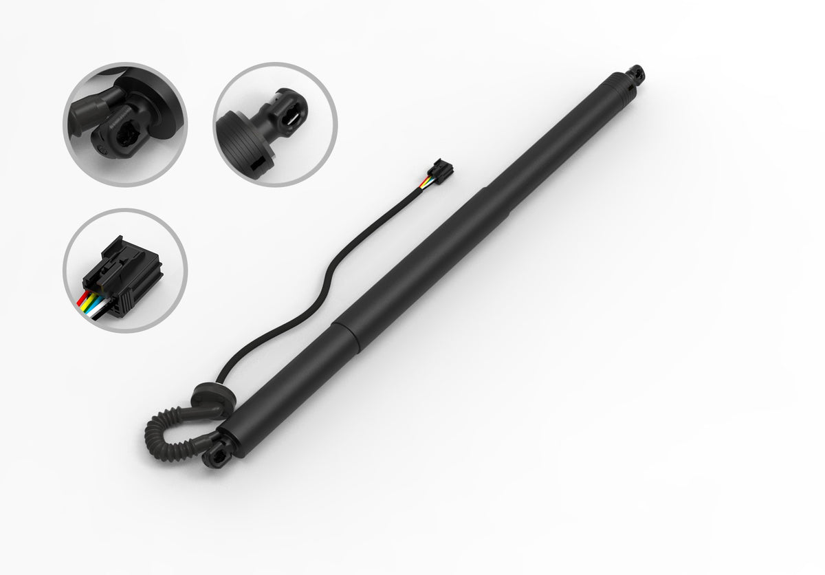 FCS Struts E89078L main image