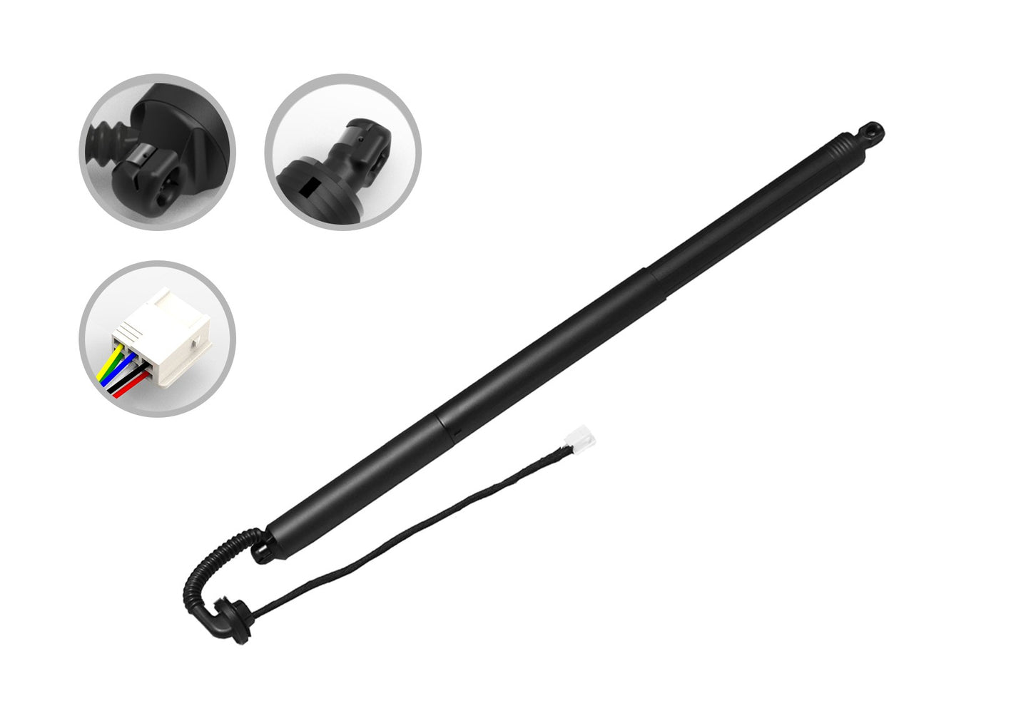 FCS Struts E89081L main image