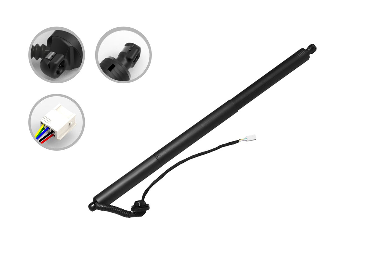 FCS Struts E89081R main image
