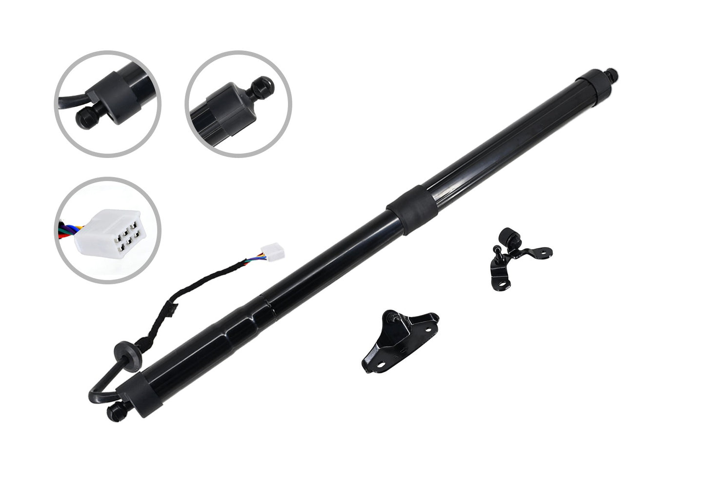 FCS Struts Liftgate Lift Support E89092R main image