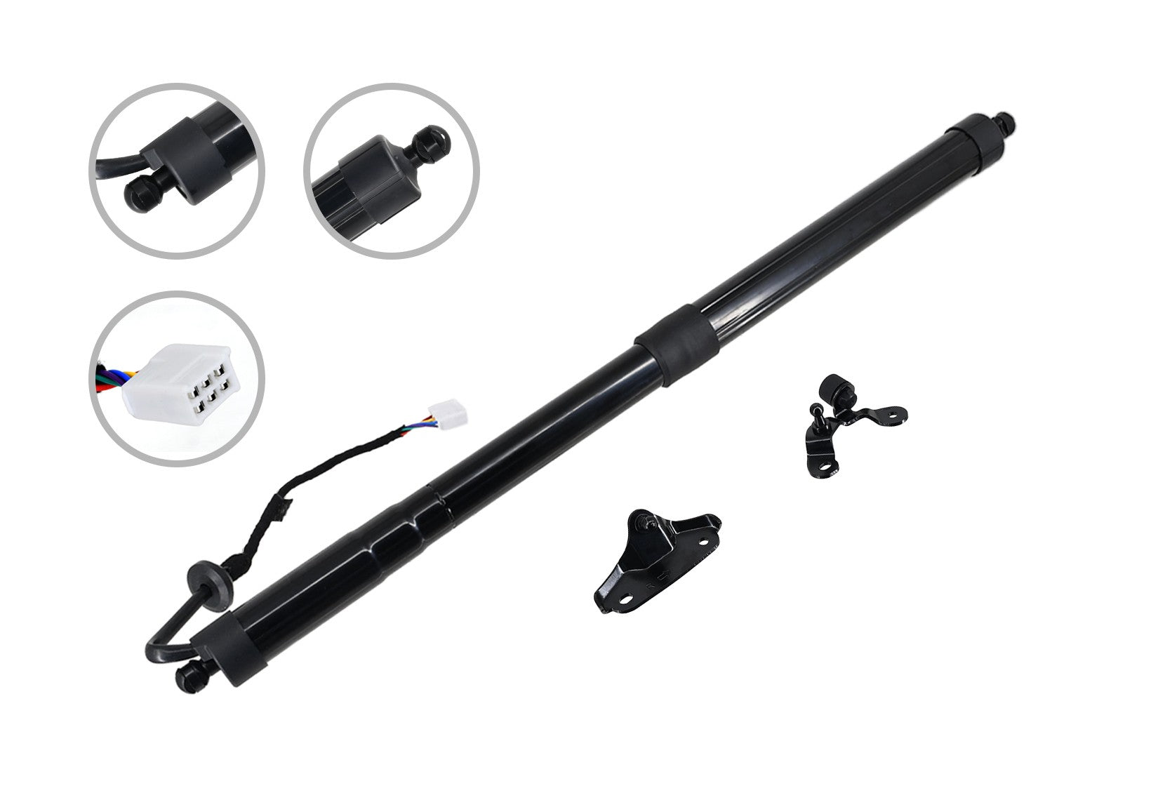 FCS Struts Liftgate Lift Support E89092R main image