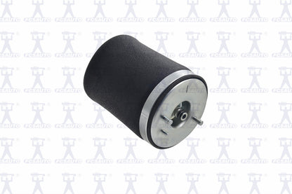 Focus Auto Parts Air Suspension Spring Q4021