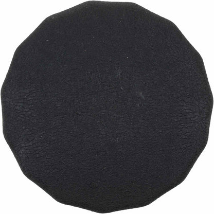 FRAM Oil Filter FRAPH25