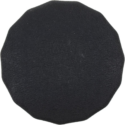 FRAM Oil Filter FRAPH25