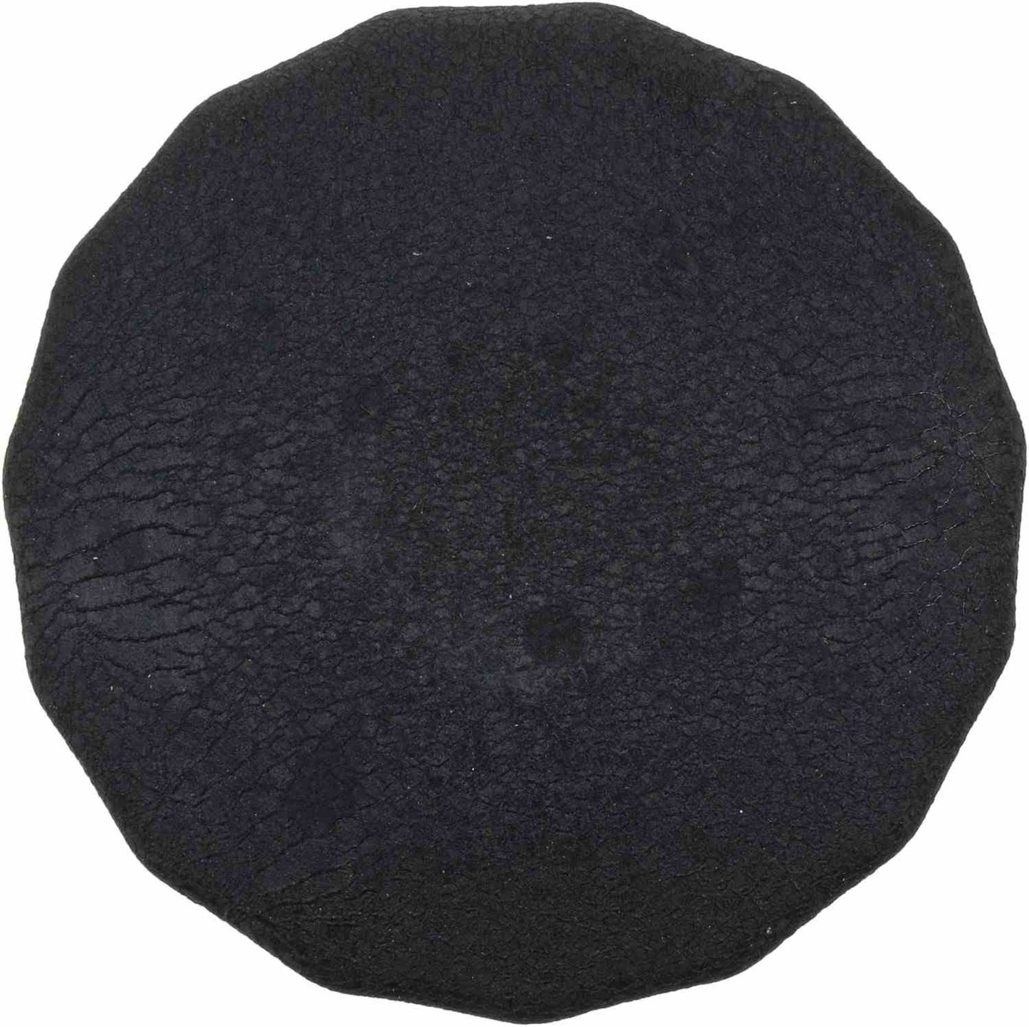FRAM Oil Filter FRAPH2