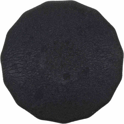 FRAM Oil Filter FRAPH2