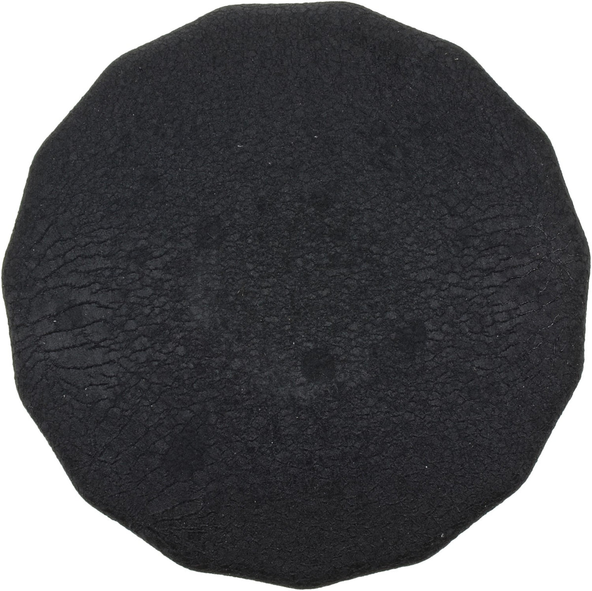 FRAM Oil Filter FRAPH2