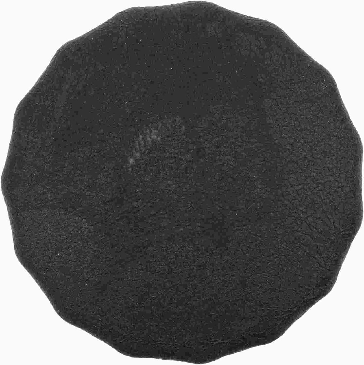 FRAM Engine Oil Filter PH8316