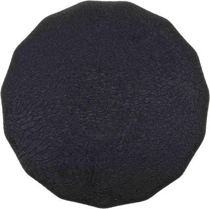 FRAM Oil Filter FRAPH9100
