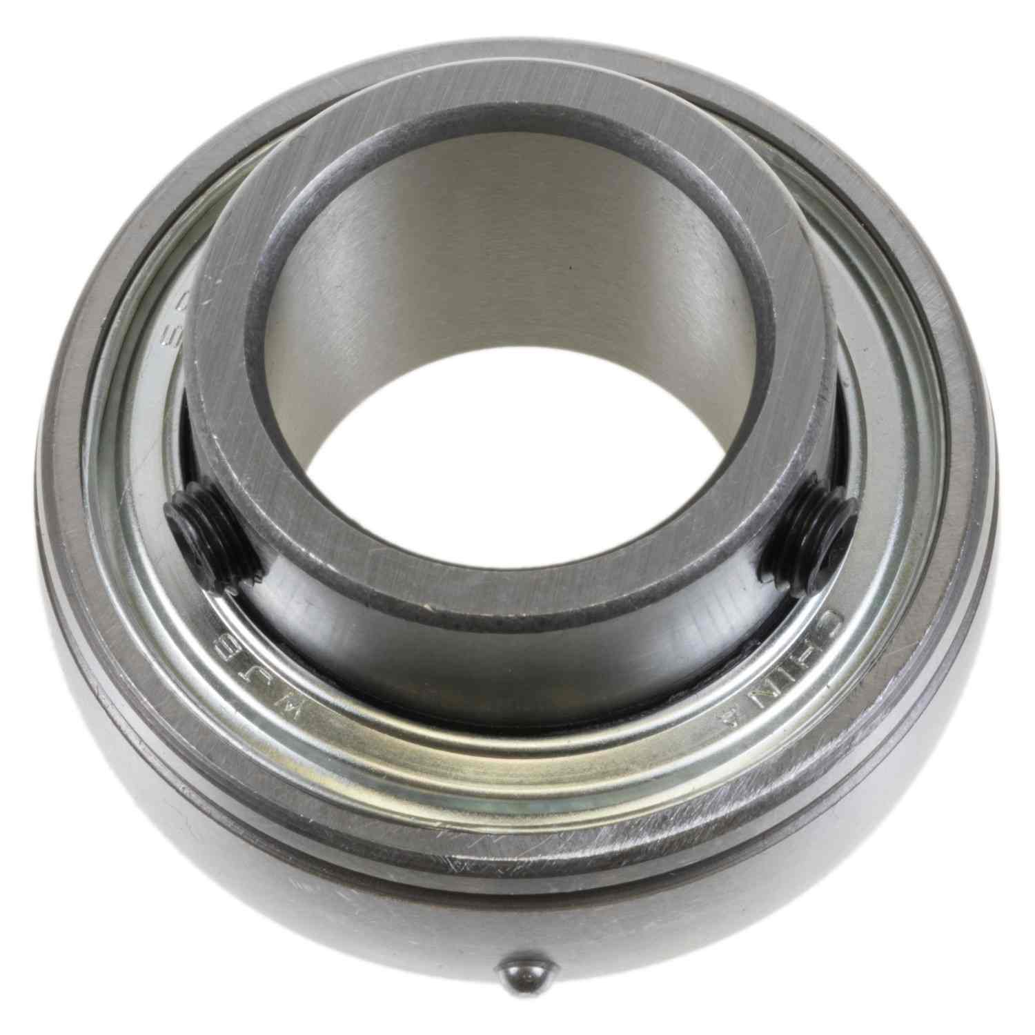 Schaeffler Bearing GYA100NPPB