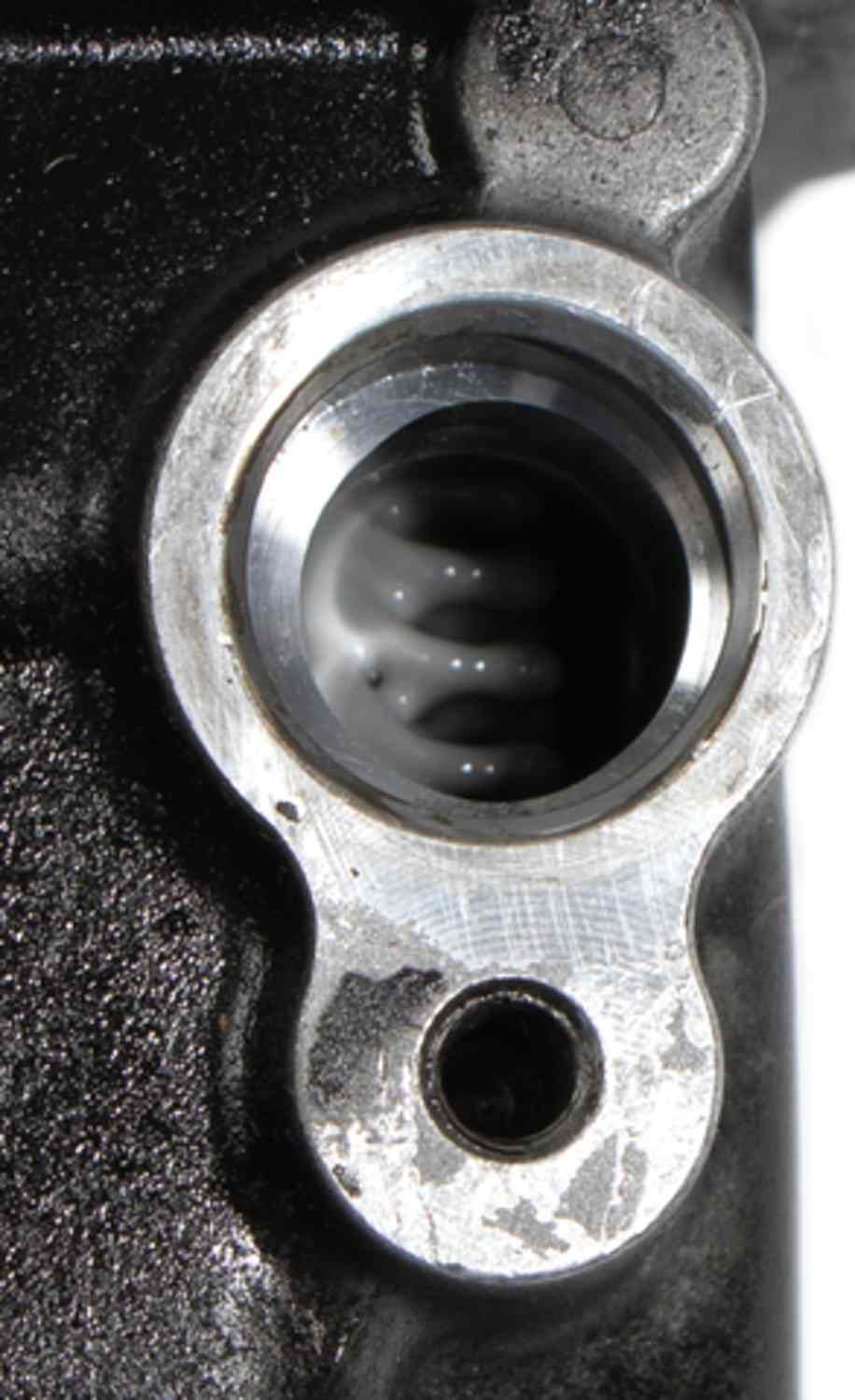 Four Seasons 1177397