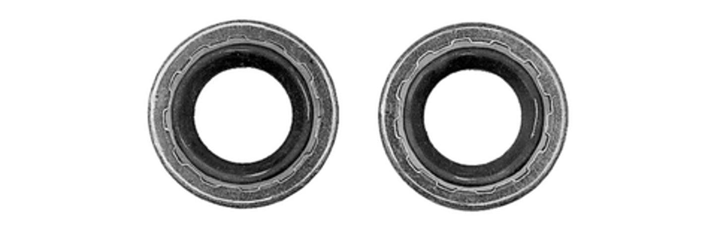 Four Seasons Sealing Washer Kit 24340